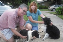 Twilight Adopted Twilight Adopted