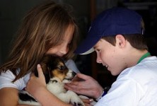 Our Adoption Process Our Adoption Process