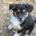 Don't be fooled by that cute face!