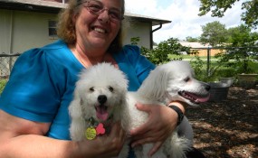 Adopted!