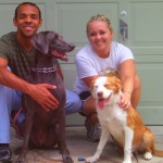 Adopted! Cheez-It is going home with the Booths and new sis, Syra, the Weimaraner.