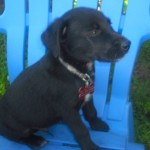 Claiming the deck chair
