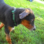 July 28 114 Her colors are remarkable
