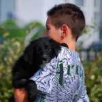 That is one content puppy!