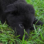What a precious face
