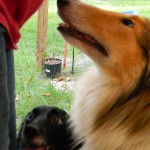 DSCN3634 DSCN3634
