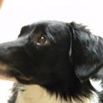 DSCN3756 DSCN3756