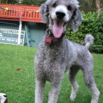 IMG_3596 IMG_3596