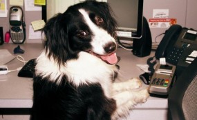 "Hello, my name is Oliver, how may I help you?"