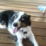 Delilah Delilah
