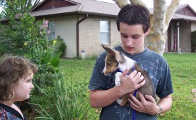 Timmy