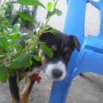 Peek-a-boo!