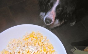 oliver popcorn