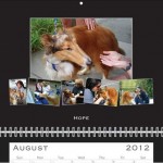 August