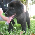 IMG_9301 IMG_9301