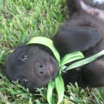 IMG_9304 IMG_9304