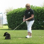 IMG_9318 IMG_9318