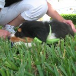 IMG_9330 IMG_9330