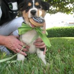 IMG_9332 IMG_9332