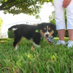 IMG_9337 IMG_9337