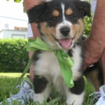 IMG_9343 IMG_9343