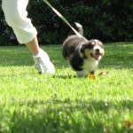 IMG_9360 IMG_9360