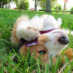 IMG_9390 IMG_9390