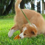 IMG_9406 IMG_9406
