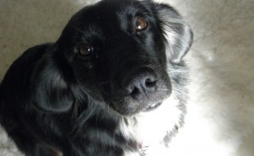 Caylee, she's Easy Peasy!