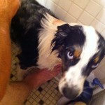 Bath time Bath time is not fun!