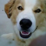 What a smile! What a smile!