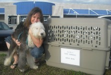 Holly and Sassafras