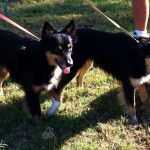 The dynamic duo! The dynamic duo!