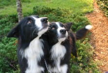 Doc Holiday & Wyatt Earp Doc Holiday & Wyatt Earp