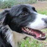 388740_10150455322579792_151005479791_7976796_775064207_n Beautiful, Happy Girl!