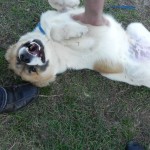 Try not to smile!