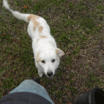 Will you play with me?