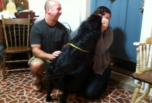 Oh, Happy Adoption Day!