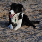 DSC_0256 DSC_0256