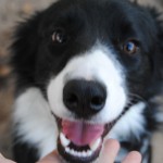 Hey, are you ready to play? Hey, are you ready to play?