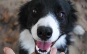 Hey, are you ready to play?