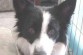Gorgeous Split Face! Gorgeous Split Face!