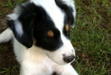 you can't resist this face!