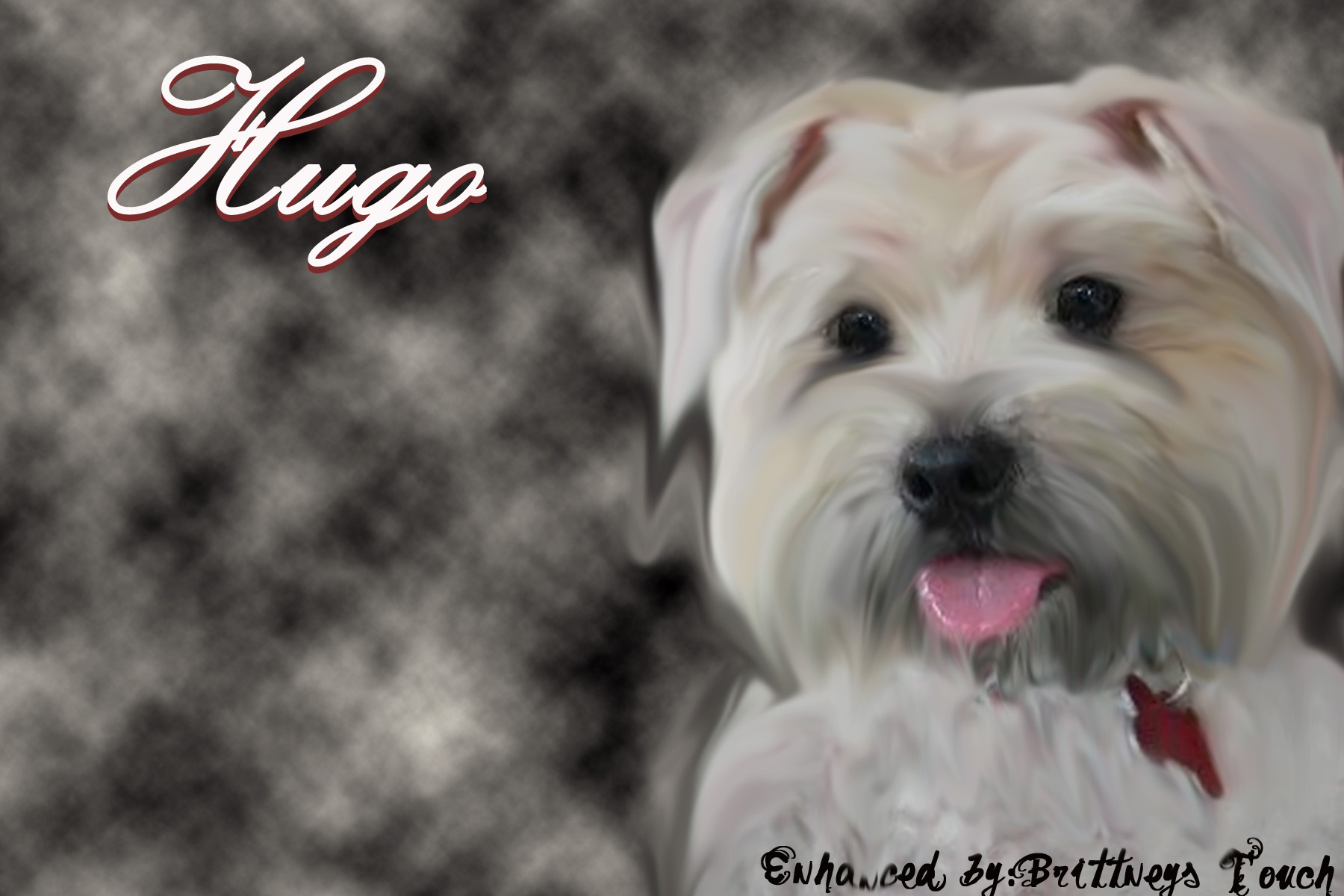 Hugo with a Full Coat