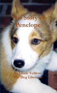 The Story of Penelope