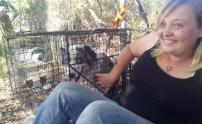 Brittney's Mystery