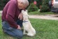 Leonard has transported thousands of dogs from hell to safety