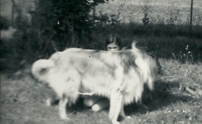 My Collie, when I was just a kid