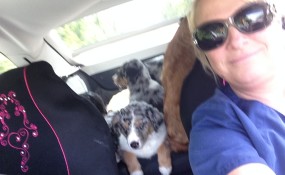 Jen on a spay/neuter mission!