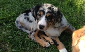 Oh My Gawd, aren't I cute?
